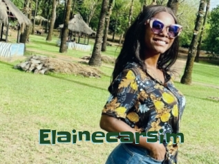 Elainecarsim
