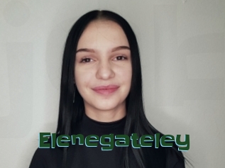 Elenegateley