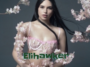 Elihawker