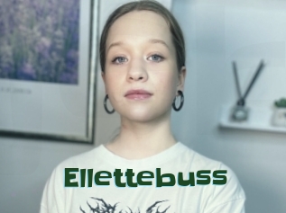 Ellettebuss