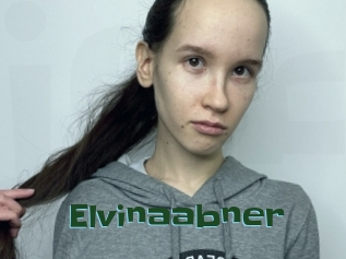 Elvinaabner