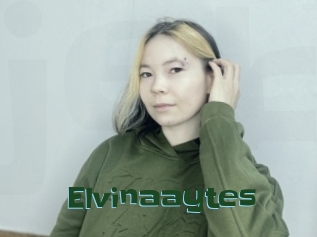 Elvinaaytes