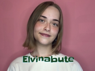 Elvinabute