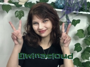 Elwinacloud