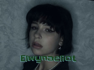 Elwynaeliot
