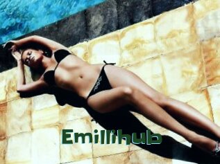 Emillihub