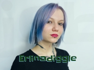 Erlinadiggle