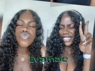 Evamae