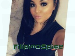 FilipinoSpice