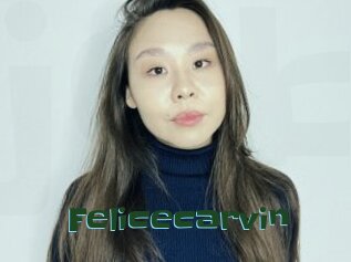 Felicecarvin