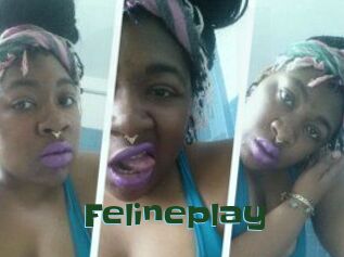Felineplay