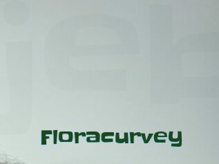 Floracurvey
