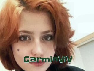 GarminViV