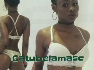Gatubela_masc