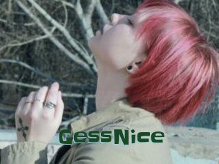 GessNice