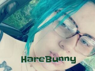 HareBunny