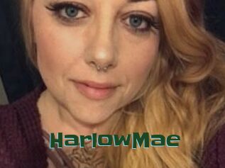 Harlow_Mae