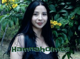 Hamnaholmes