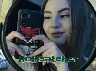 Hollisatcher