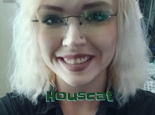 Houscat