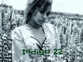 Indigo_22