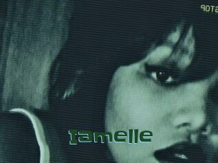Iamelle