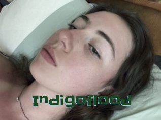 Indigoflood