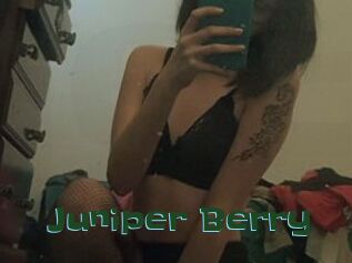 Juniper_Berry