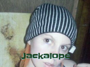 Jackalope