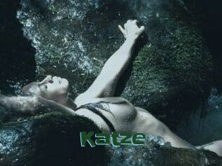 Katze