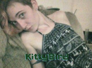 KittyBird
