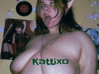 kattixo Jeune baise