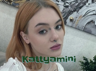 Kattyamini
