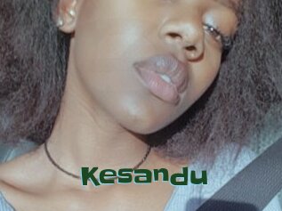 Kesandu