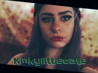 Kinkylittlecate