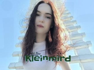Kleinmird