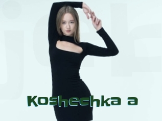 Koshechka_a