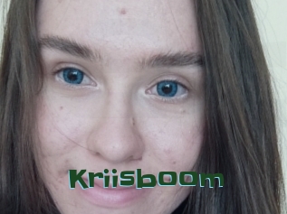 Kriisboom