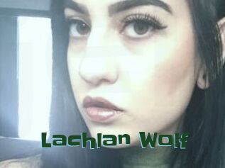 Lachlan_Wolf