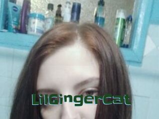 LilGingerCat