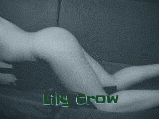 Lily_Crow
