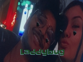 Laddybug