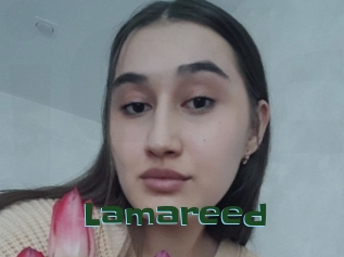 Lamareed