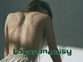 Larssondaisy