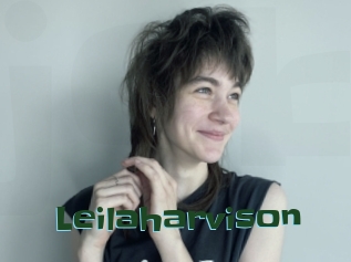 Leilaharvison