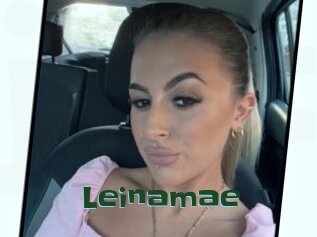 Leinamae
