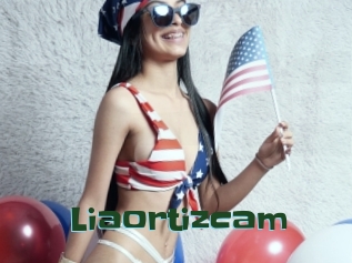 Liaortizcam