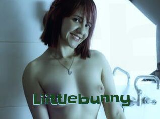 Liittlebunny