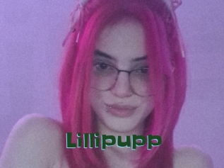 Lillipupp