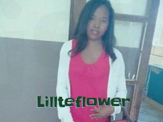 Lillteflower